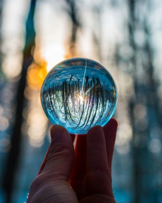 A hand holds a crystal ball reflecting a forest at sunset, showcasing a magical and reflective nature scene.